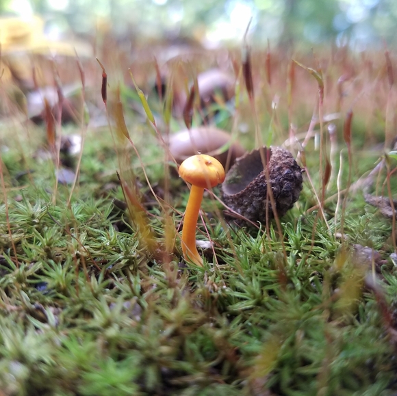 Meet your Posher, Chelsey - Picture 9 of 16